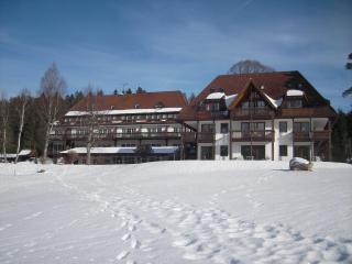 Ferienclub Erlenbruck - Hinterzarten - 7