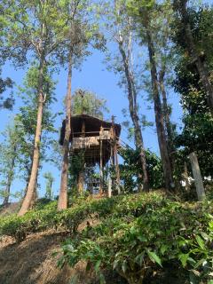 Yuk's villa - Gūdalūr - 4