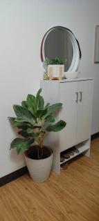 Arezzo Place Davao-Rental - 1