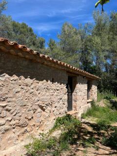 Cabanon provençal - Villecroze - 3