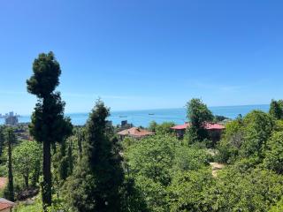 Green House Marina - Batumi - 1