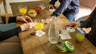 Ferienhaus Alexandra in Ebensee - 1