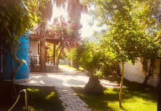 Turtle Beach Bungalow - Dalyan - 2