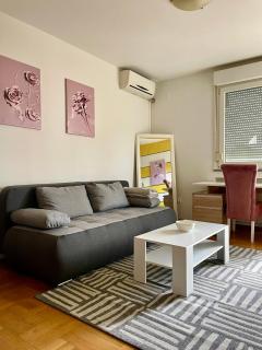 Vanja - Novi Sad - 5