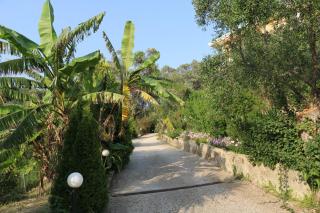 Dafni studios no1 - 3