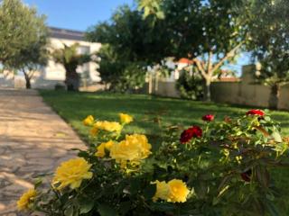 Ferienhaus in Privlaka mit Garten, Grill und Terrasse - Nin - 6