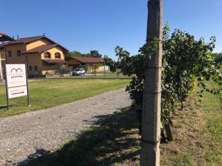 La Bonauda - Valperga - 9