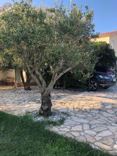 Ferienhaus in Privlaka mit Garten, Grill und Terrasse - Nin - 1