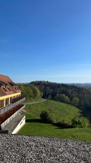 Hotel Garni am Seggauberg - Leibnitz - 9