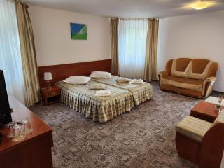 Casa Minerva - Buşteni - 7