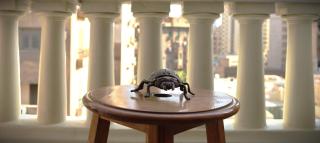 Champollion Palace - 4