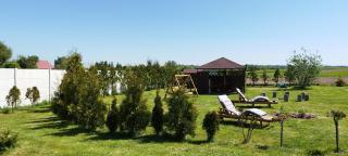 W Malinowym Chruśniaku - Nowa Słupia - 4