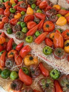 La Cigale Varoise - Hyères La Plage - 1