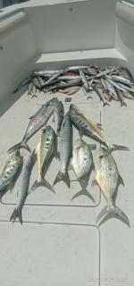 Dubai fishing trip 5 hours - Dubai - 1