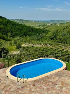 Villa Teresa - Villa & Piscina immersi nel vigneto! - Montecalvo Versiggia - 6