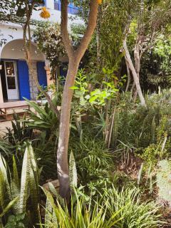 Riad Isla - 7