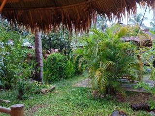 Bamboo homestay at samroiyot - Baanphakrimlay - 3