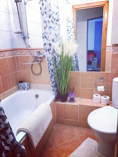 EMVIKA apartament - Šiauliai - 1