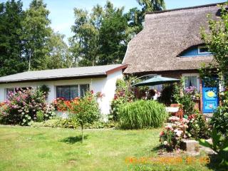 Ferienwohnung "Kleine Deichperle" - Prerow - 0