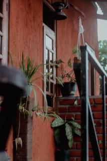 Hostal Tree House - 4