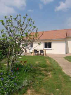Chez Paulette - Halinghen - 0