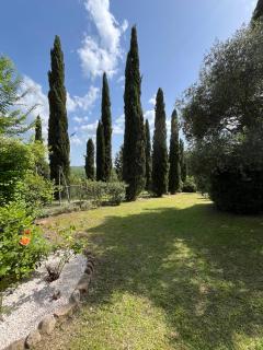 Villa Tre Colli - In The Heart Of Tuscany - Certaldo - 7