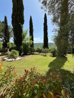 Villa Tre Colli - In The Heart Of Tuscany - Certaldo - 4