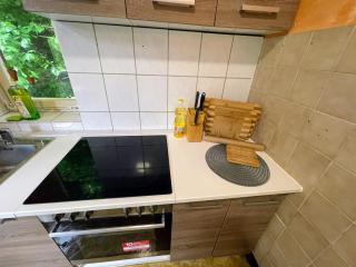 Monteurwohnung - Worker's apartment - Pforzheim Belremstraße - Pforzheim - 5