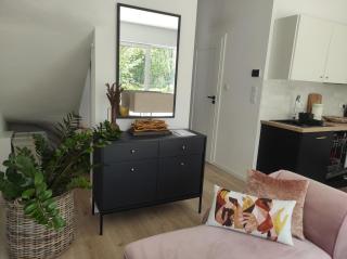 Źródlana Apartamenty - całoroczne domy na wyłączność - Odargowo - 6