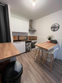 Magnifique appartement Brest - Brest - 4