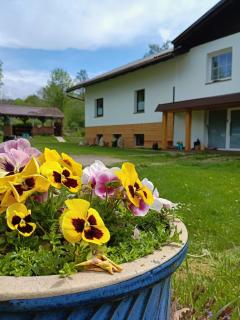Smrek Sokolec Agroturystyka - Ludwikowice Kłodzkie - 2