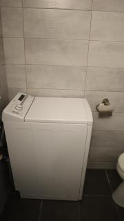 Seaside house with garden - 9