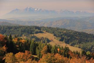 Chata nad stawem - Wierchomla Mała - 2