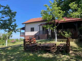 Vila Plavinac - Smederevo - 4