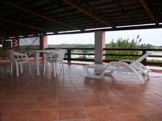 Bouganville Valledoria - 9