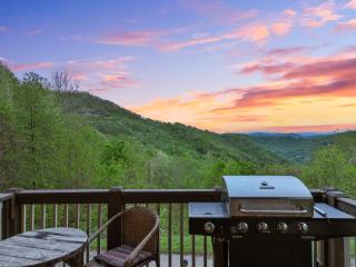 Mtn Views Hot Tub Close to Asheville - Swiss - 9