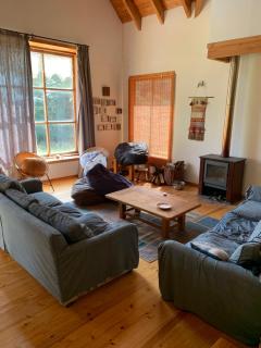 Riñinahue, Lago ranco - 2