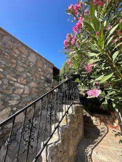 Orman İçinde Muhteşem Villa - Kayakoy - 7