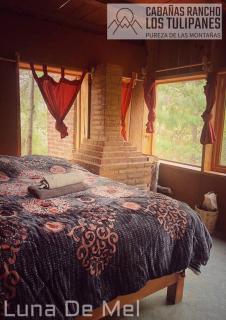Cabanas Rancho Los Tulipanes - dream of peace - 0