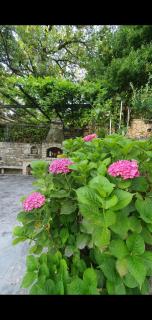 Apartmani Paulino - Herceg Novi - 3