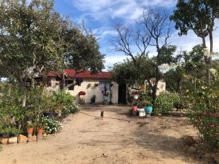 Maria Bonita Eco Pousada - Diamantina - 1
