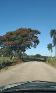 Casa para Temporada em Carlópolis PR - 8