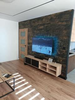 Apartman Yullia Ostrava City - Hrabŭvka - 7