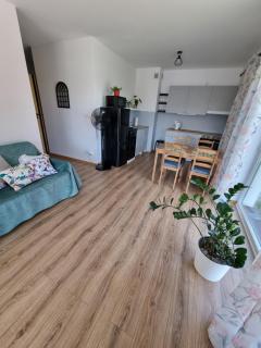 Apartament Nad Wisłą u Ani - Tczew - 9
