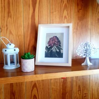 Marilleva 1400 tra sport e natura - 6