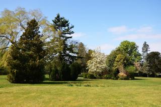 NEW - Beautiful, spacious Beechwood Lodge with lovely gardens - Chalfont Saint Giles - 6