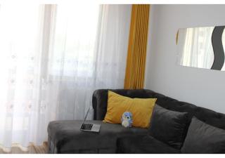 xVisoianu Luxury 2 rooms AB House - Lunca Cetăţuii - 9