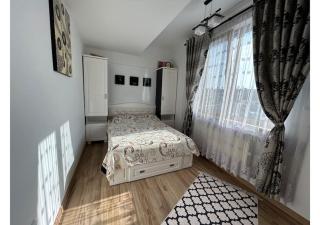 xVisoianu Luxury 2 rooms AB House - Lunca Cetăţuii - 6