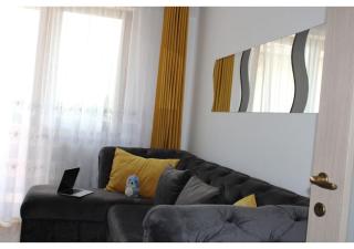 xVisoianu Luxury 2 rooms AB House - Lunca Cetăţuii - 2