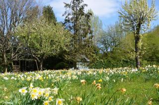 NEW - Beautiful, spacious Beechwood Lodge with lovely gardens - Chalfont Saint Giles - 3